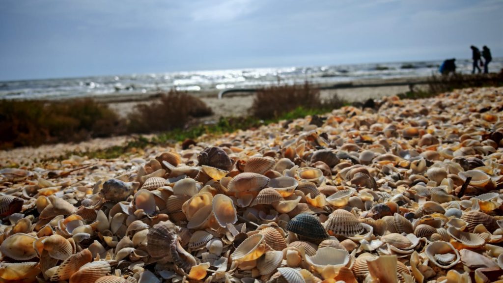 EXCURSIE PLAJA PERISOR 3 – 4 h