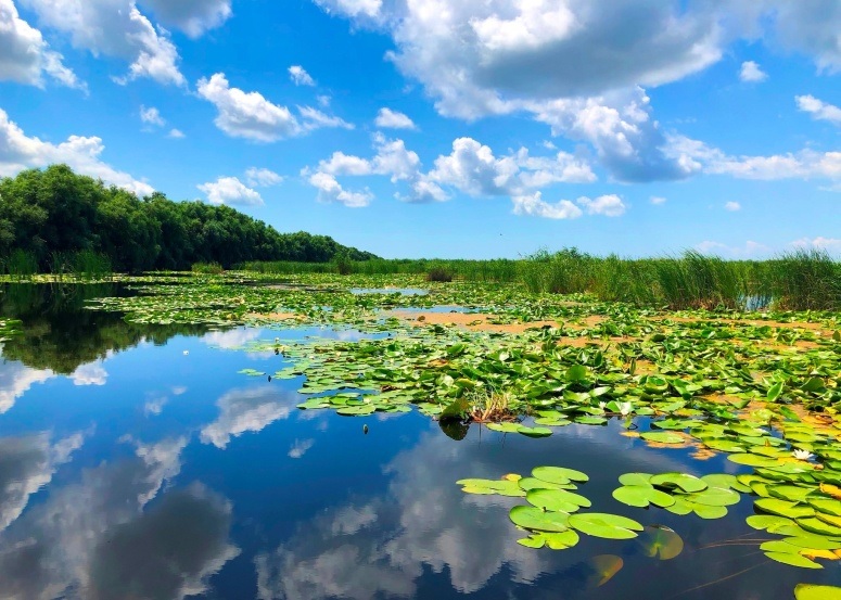 EXCURSIE UZLINA – 3 4 h