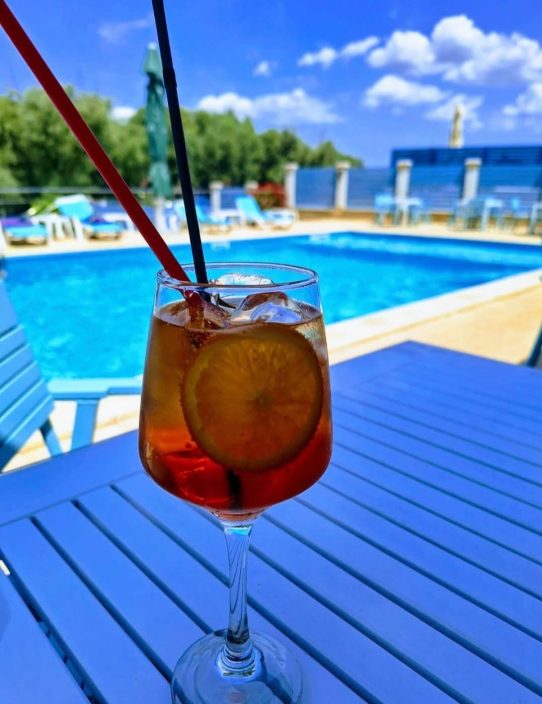 Cazare cu piscina in Delta Dunarii